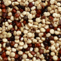 Le Quinoa