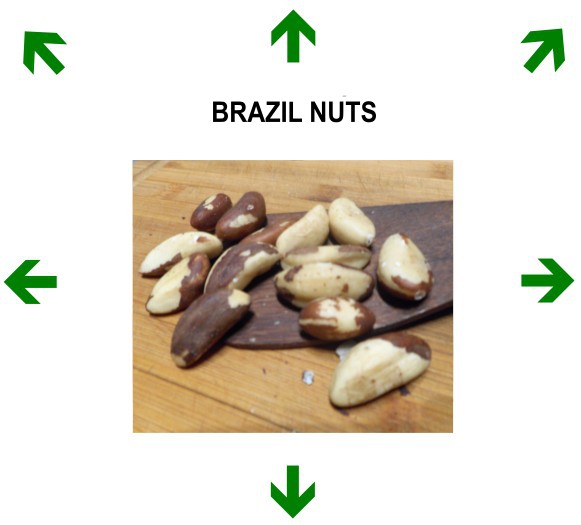 NOIX DU BRÉSIL