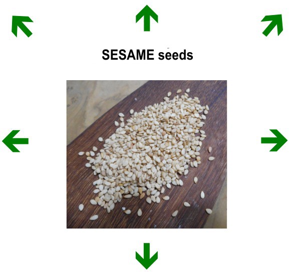 Graines de SESAME