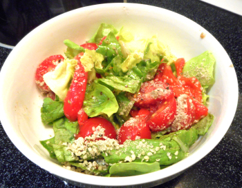 Laitue Boston, luzerne